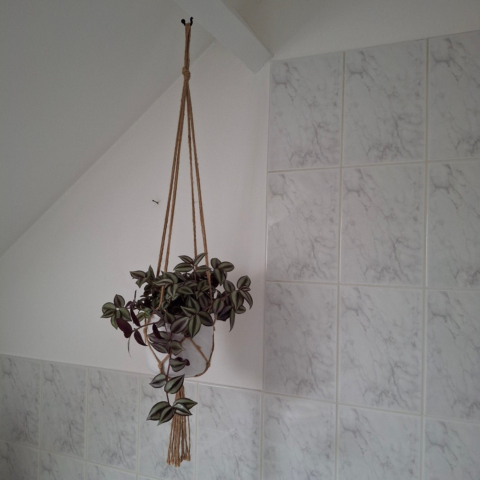 Macrame hanger met pot en hangplant, Ophalen of Verzenden, Halfschaduw, Minder dan 100 cm