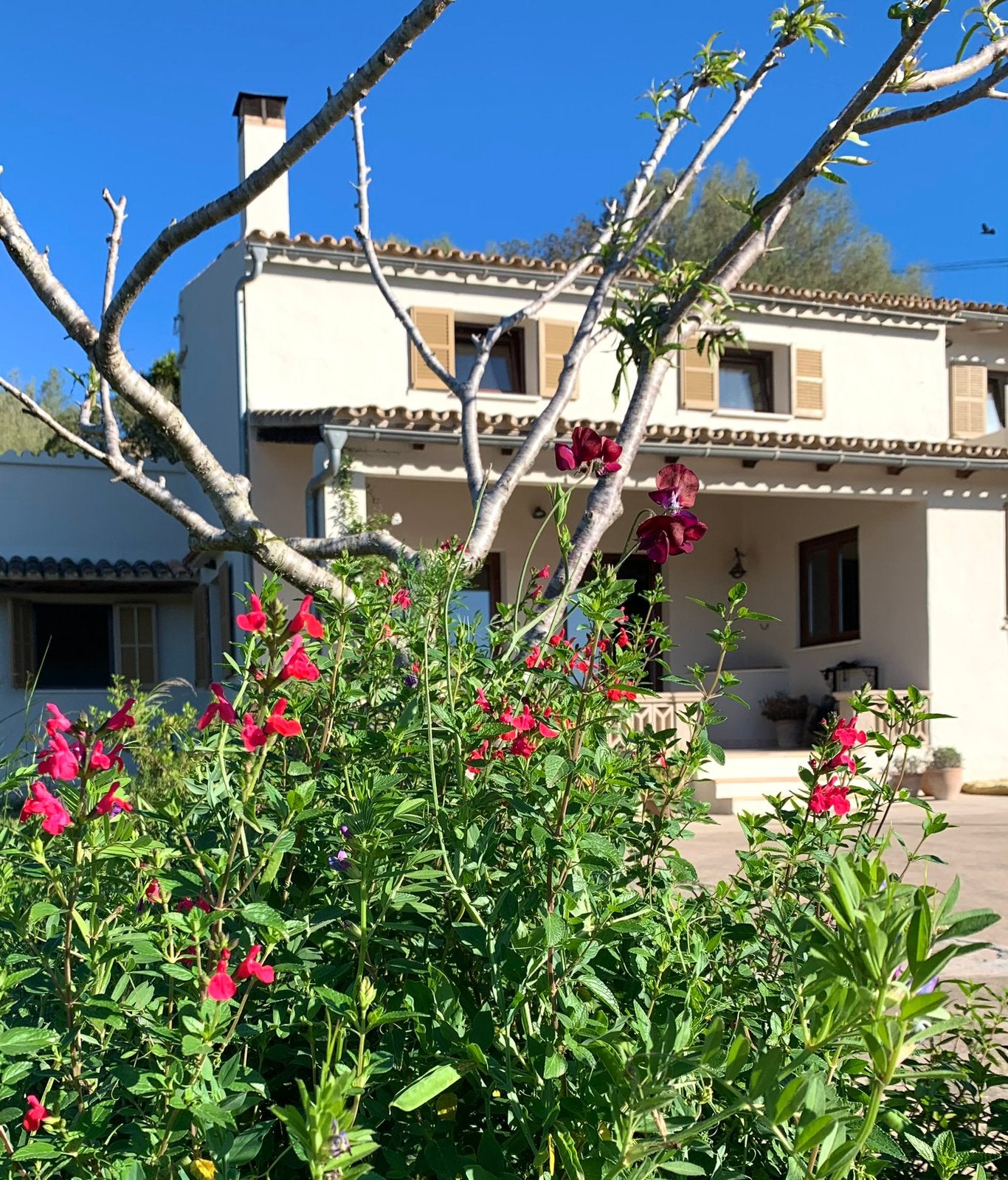 Lange termijn verhuur appartement Sineu Mallorca, 1 personen, In bergen of heuvels, Internet, Appartement