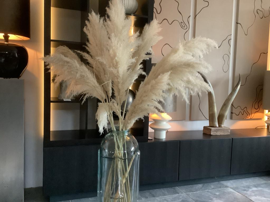 Gedroogde Pampas Pluimen - Landelijk & Modern Interieur, Ophalen, Zo goed als nieuw