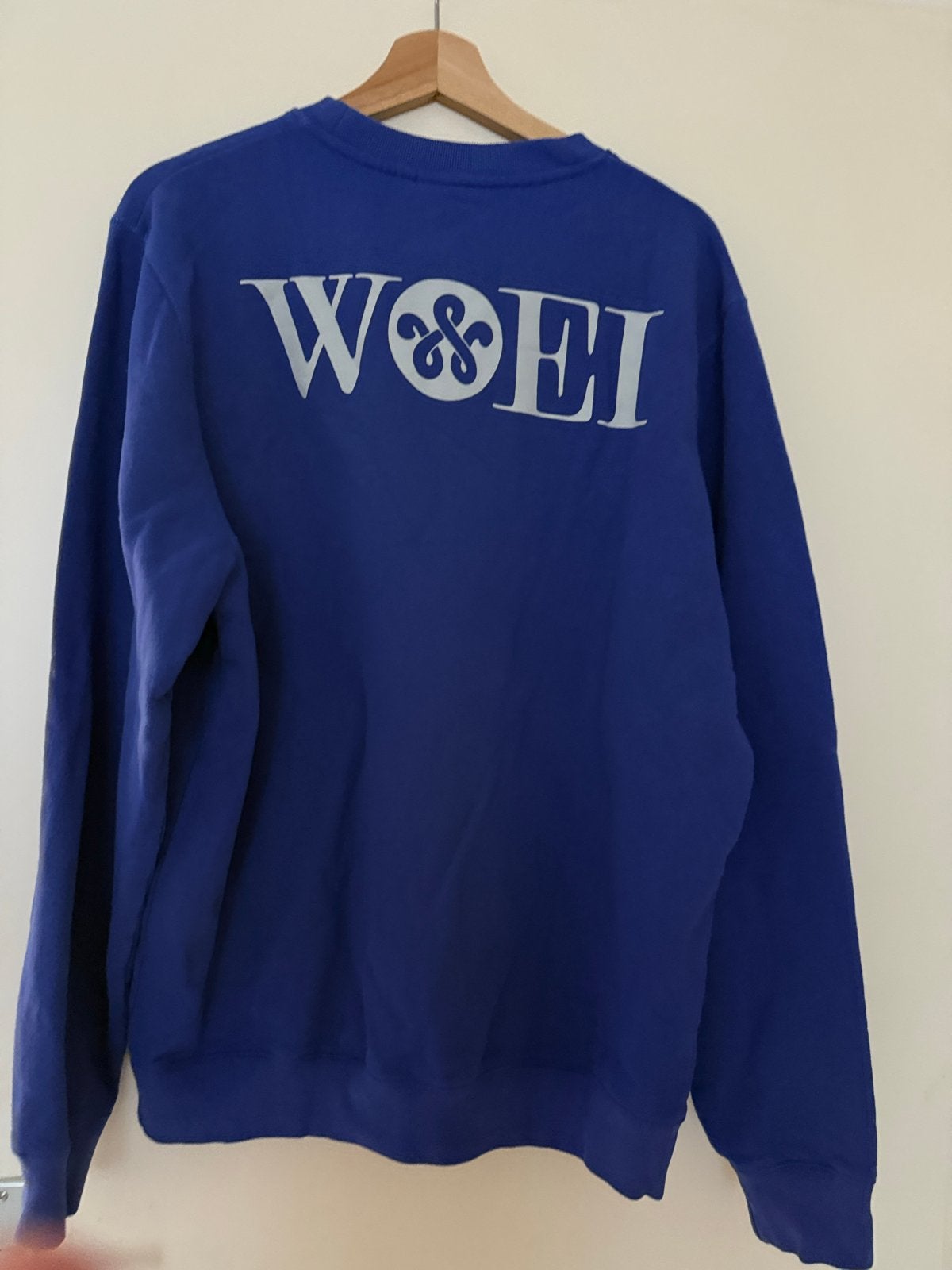 WOEI sweater - Maat L - Blauw, Ophalen of Verzenden, Zo goed als nieuw, Maat 52/54 (L), Blauw