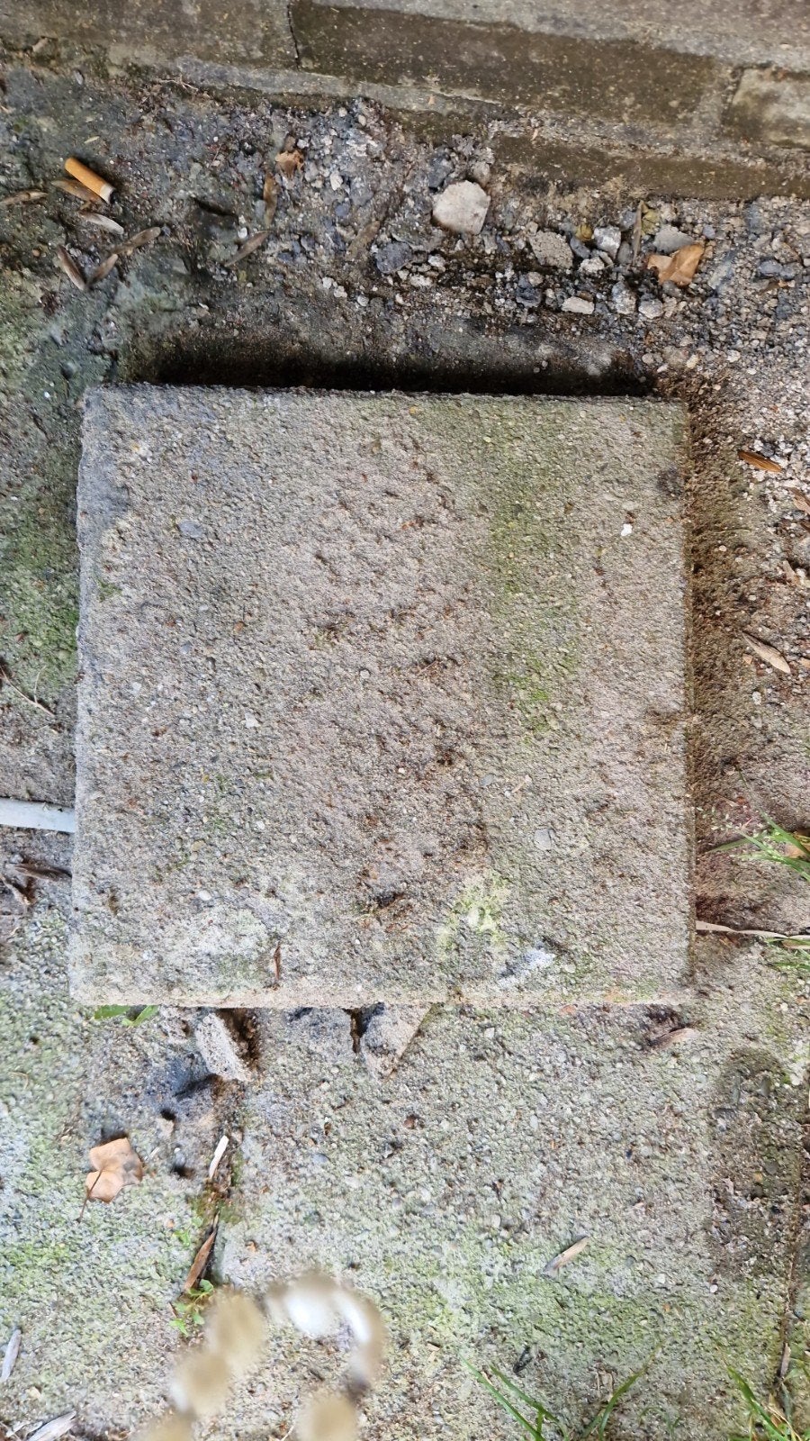 Gratis betonnen terrastegels - Gebruikt 40 m2, Ophalen of Verzenden, Gebruikt