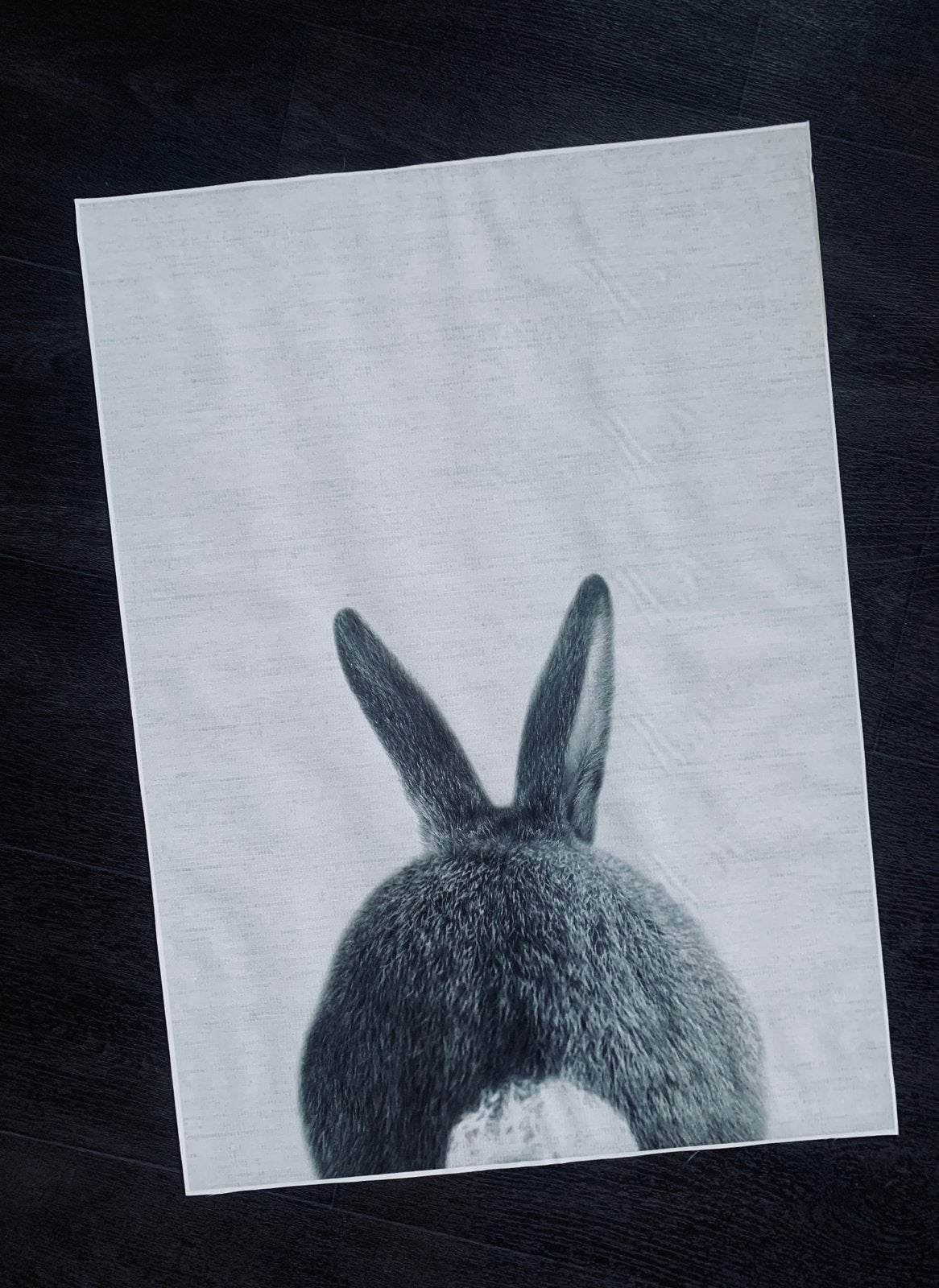 Canvasdoek outdoor fotoprint bunny black and white grey, Ophangklaar, Ophalen of Verzenden, Dieren, Print