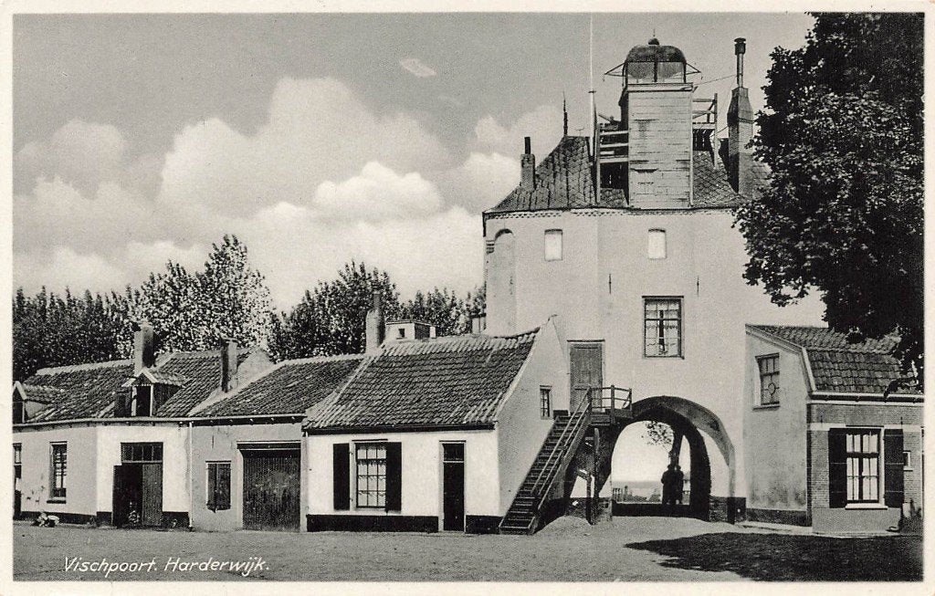 Harderwijk, Vischpoort, Ophalen of Verzenden, 1920 tot 1940, Ongelopen, Gelderland
