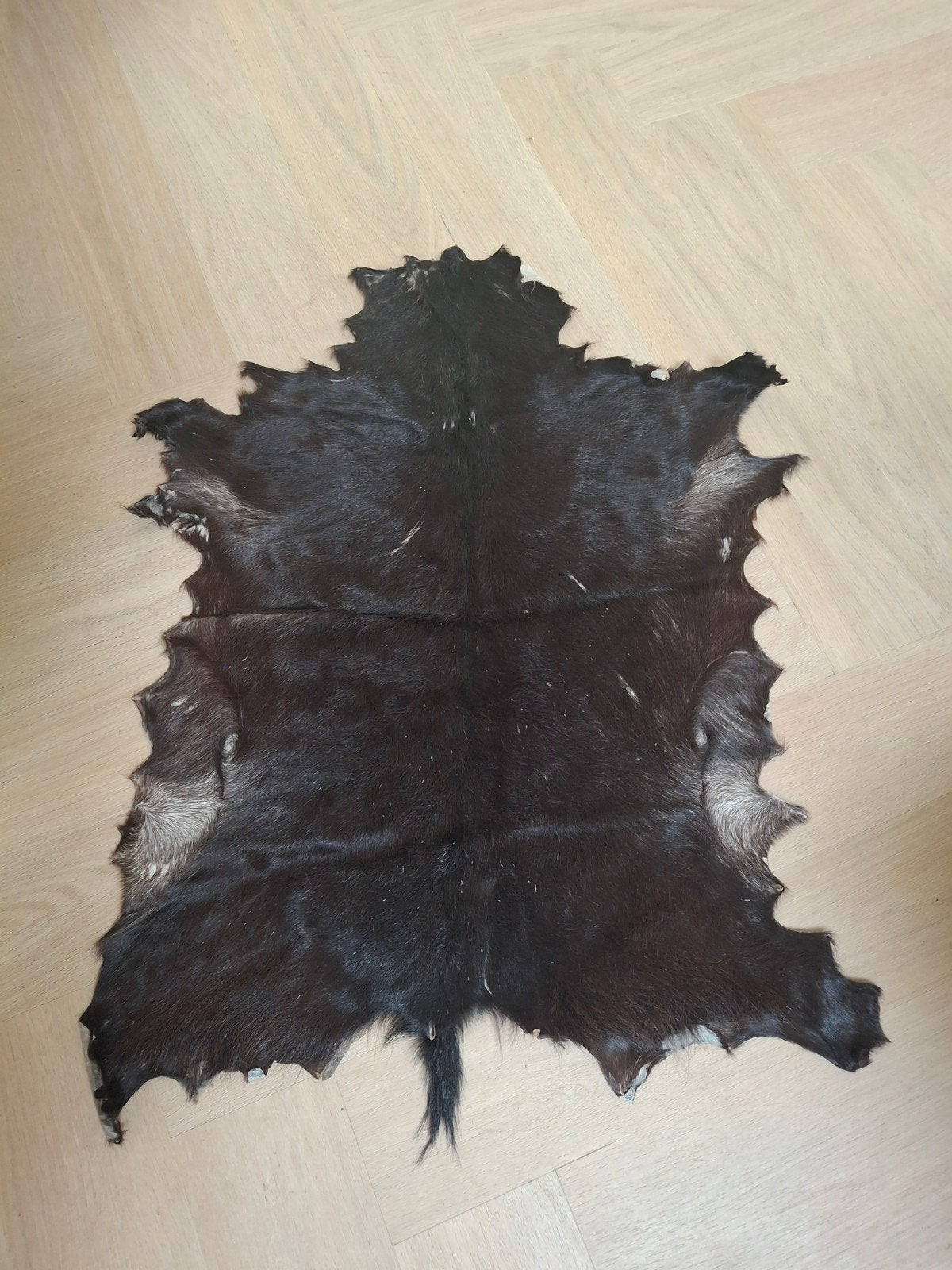 Geitenhuid te koop!, Ophalen of Verzenden, Zo goed als nieuw, Rechthoekig, 50 tot 100 cm