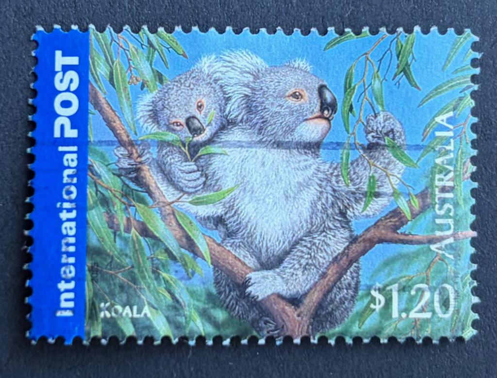 Postzegel Australie Koala met jong 2005, Postzegels en Munten, Ophalen of Verzenden, Gestempeld