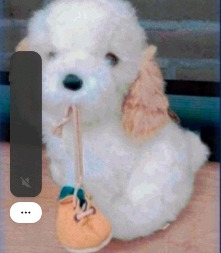 hond sekiguchi Bobbie pluche vintage, Ophalen, Zo goed als nieuw