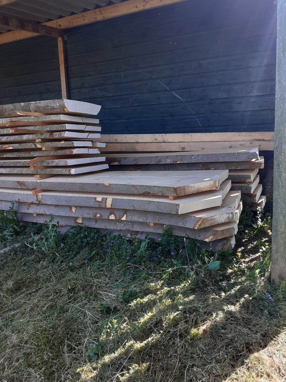 Beuken schaaldelen, Ophalen, Nieuw, Beuken, 25 tot 50 mm