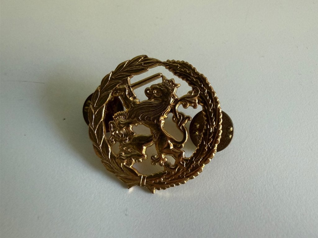 Vaardigheidsinsigne Kon. Landmacht (Algemene Vaardigheid), Ophalen of Verzenden, Landmacht, Nederland, Embleem of Badge
