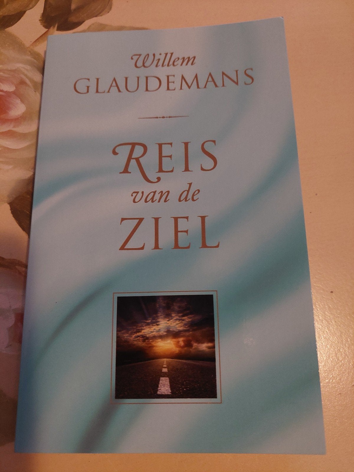 Reis van de Ziel - Willem Glaudemans, Boeken, Ophalen, Zo goed als nieuw, Ziel of Sterfelijkheid, Achtergrond en Informatie