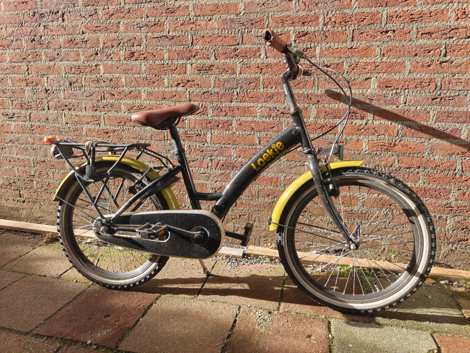 Loekie kinderfiets 20 inch, Fietsen en Brommers, Ophalen, Gebruikt, Loekie, Terugtraprem