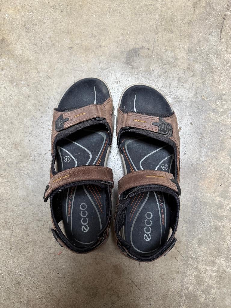 ECCO heren sandaal maat 47 even gebruikt maar was te klein, Kleding | Heren, Schoenen, Sandalen, Ecco, Bruin, Ophalen of Verzenden