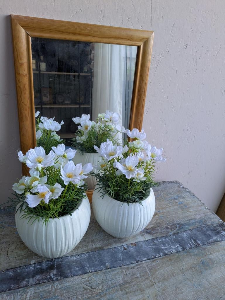 Nette witte bloempotten met kunstplant/bloem en wandspiegel, Ophalen, Binnen, Inclusief accessoires, Kunstplant