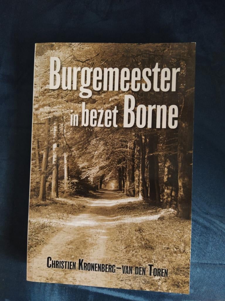 Burgemeester in bezet Borne, Boeken, Ophalen of Verzenden