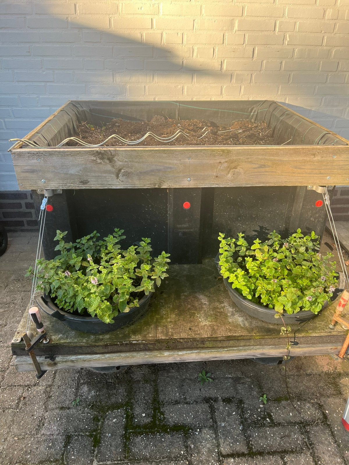 Moestuintje verrijdbaar, Tuin en Terras, Ophalen, Gebruikt, Kweekbak