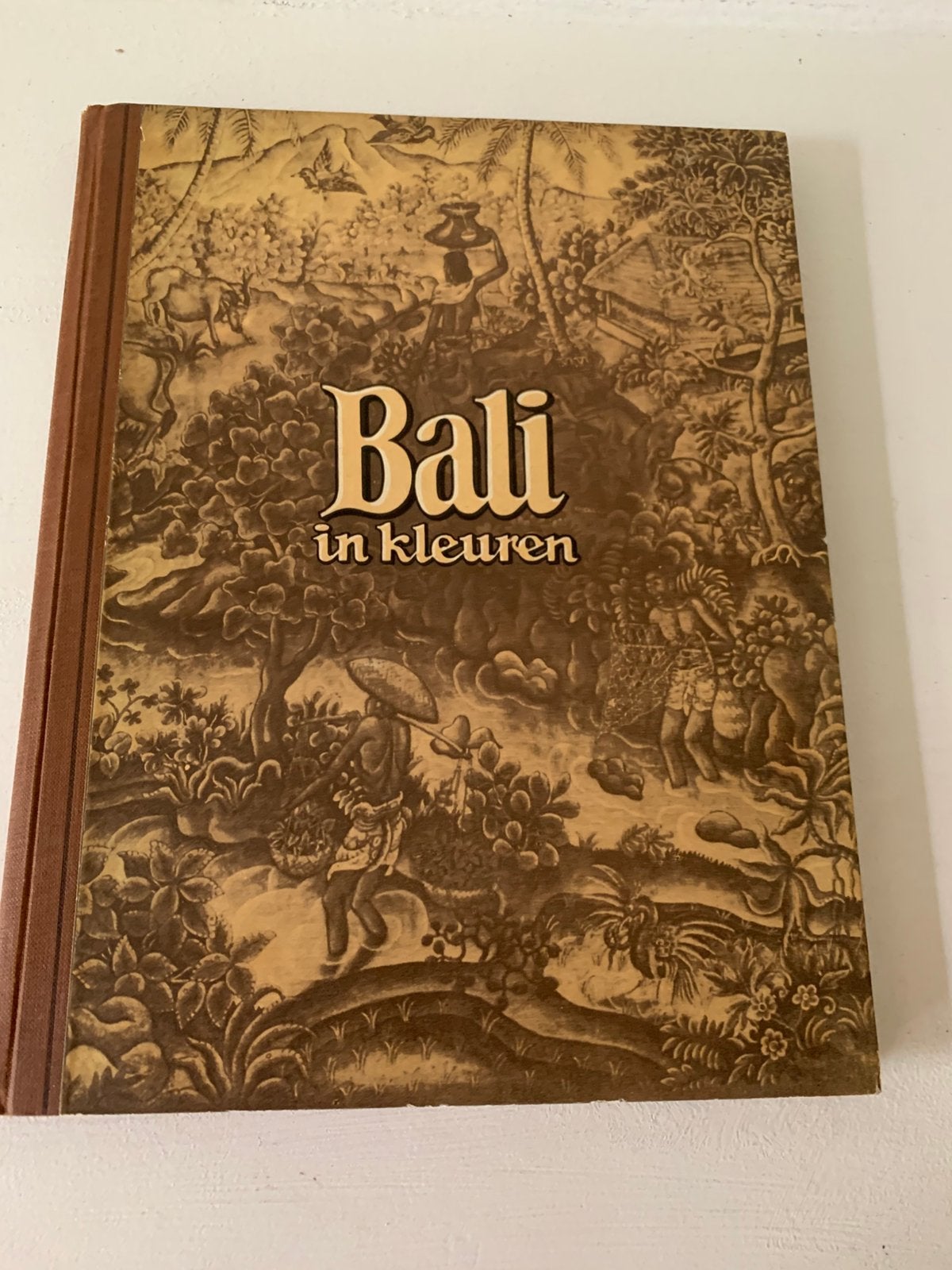 Bali in kleuren - Reisgids met prachtige illustraties, Boeken, Ophalen of Verzenden, Reisgids of -boek, Azië, Gelezen