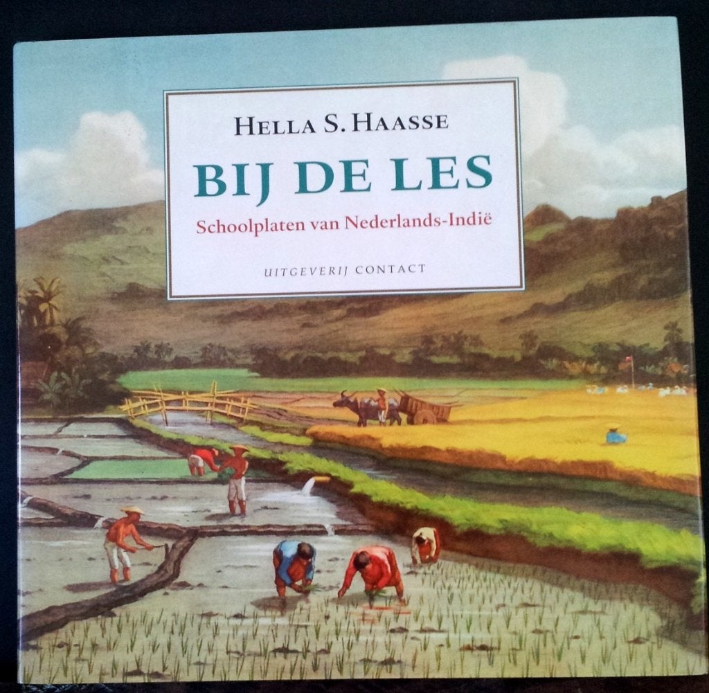 Hella S. Haasse: Bij de les  (356b), Boeken, Ophalen of Verzenden, 20e eeuw of later, Zo goed als nieuw
