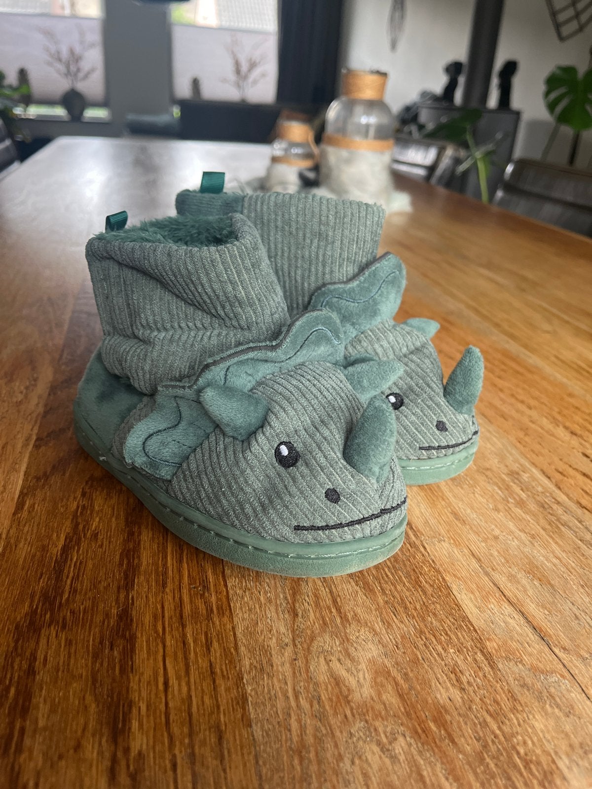 Leuke Dino Pantoffels - Maat 26/27, Ophalen, Zo goed als nieuw, Jongen of Meisje, Overige typen