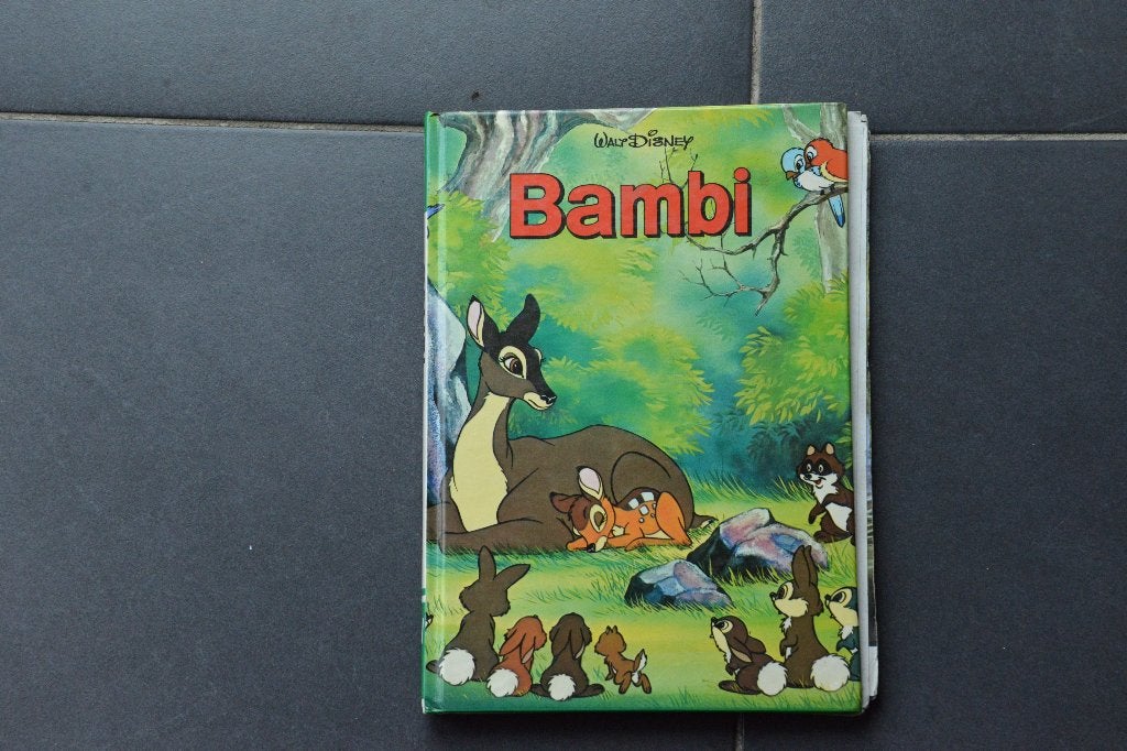 Bambi, prins van het woud., Boeken, Fictie algemeen, Ophalen of Verzenden, Zo goed als nieuw, Walt Disney Company