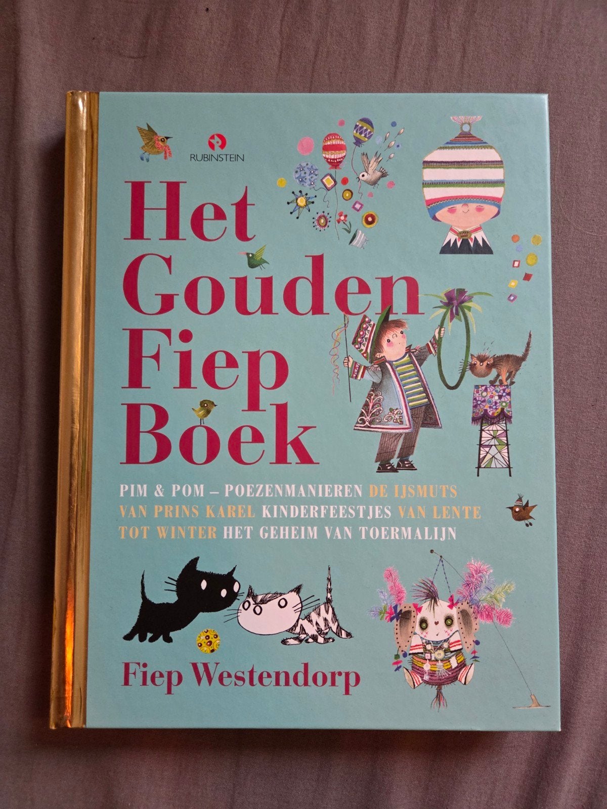 Het Gouden Fiep Boek, Boeken, Ophalen of Verzenden, Zo goed als nieuw, Fictie algemeen, Voorleesboek