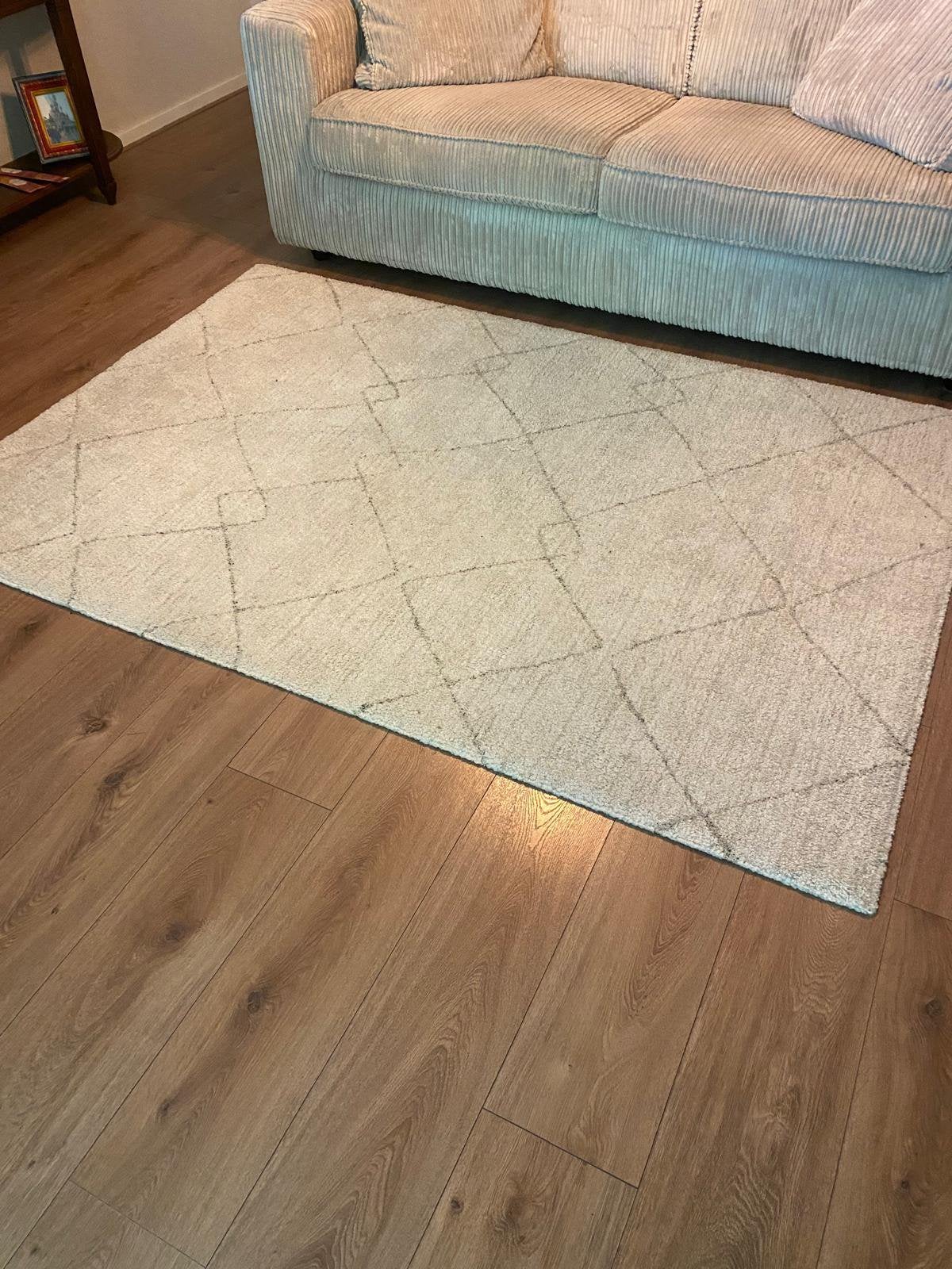 Vloerkleed, Huis en Inrichting, Ophalen, Rechthoekig
