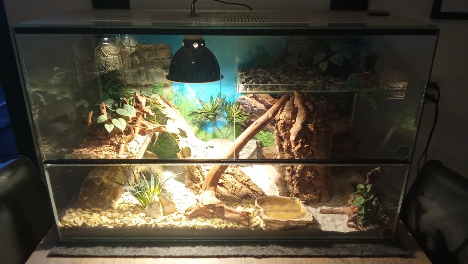 terrarium 80 breed 50 hoog 40 diep, Ophalen