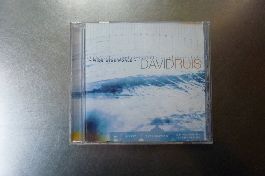 David Ruis - Wide Wide World, Ophalen of Verzenden, Zo goed als nieuw, Poprock, Album