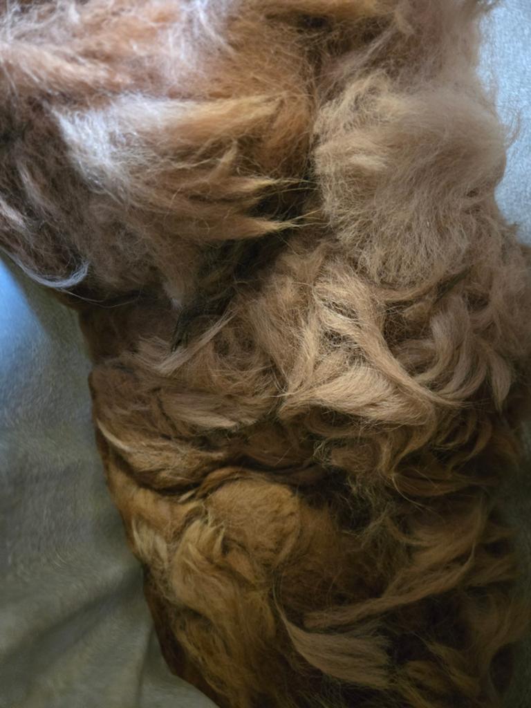 Alpacawol, Alpaca Vachten 3x, Ophalen of Verzenden, Spinwol