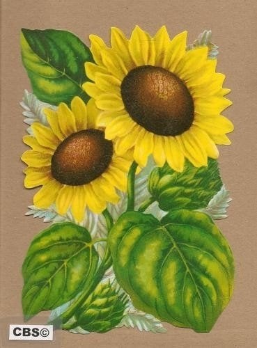 Zonnebloemen poezieplaatjes 5105, Ophalen of Verzenden