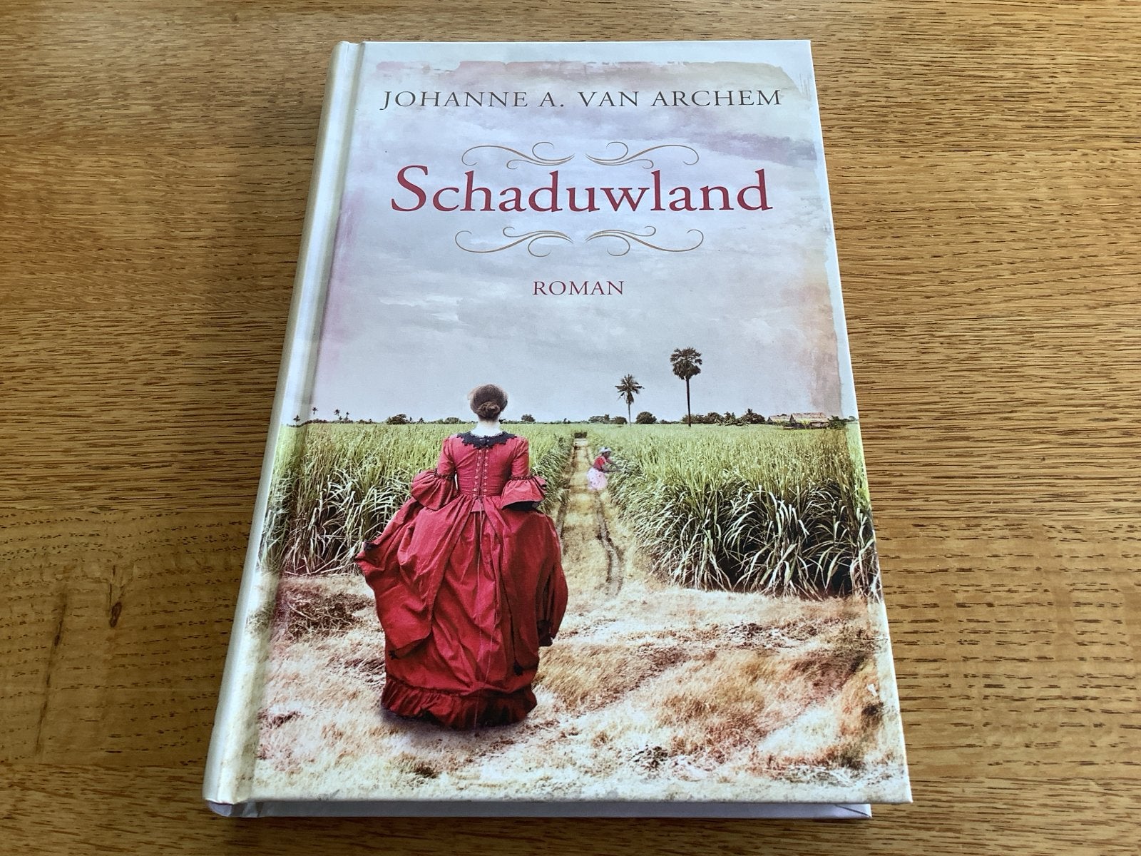 Schaduwland - Johanne A. van Archem - Roman, Ophalen of Verzenden, Zo goed als nieuw, Nederland