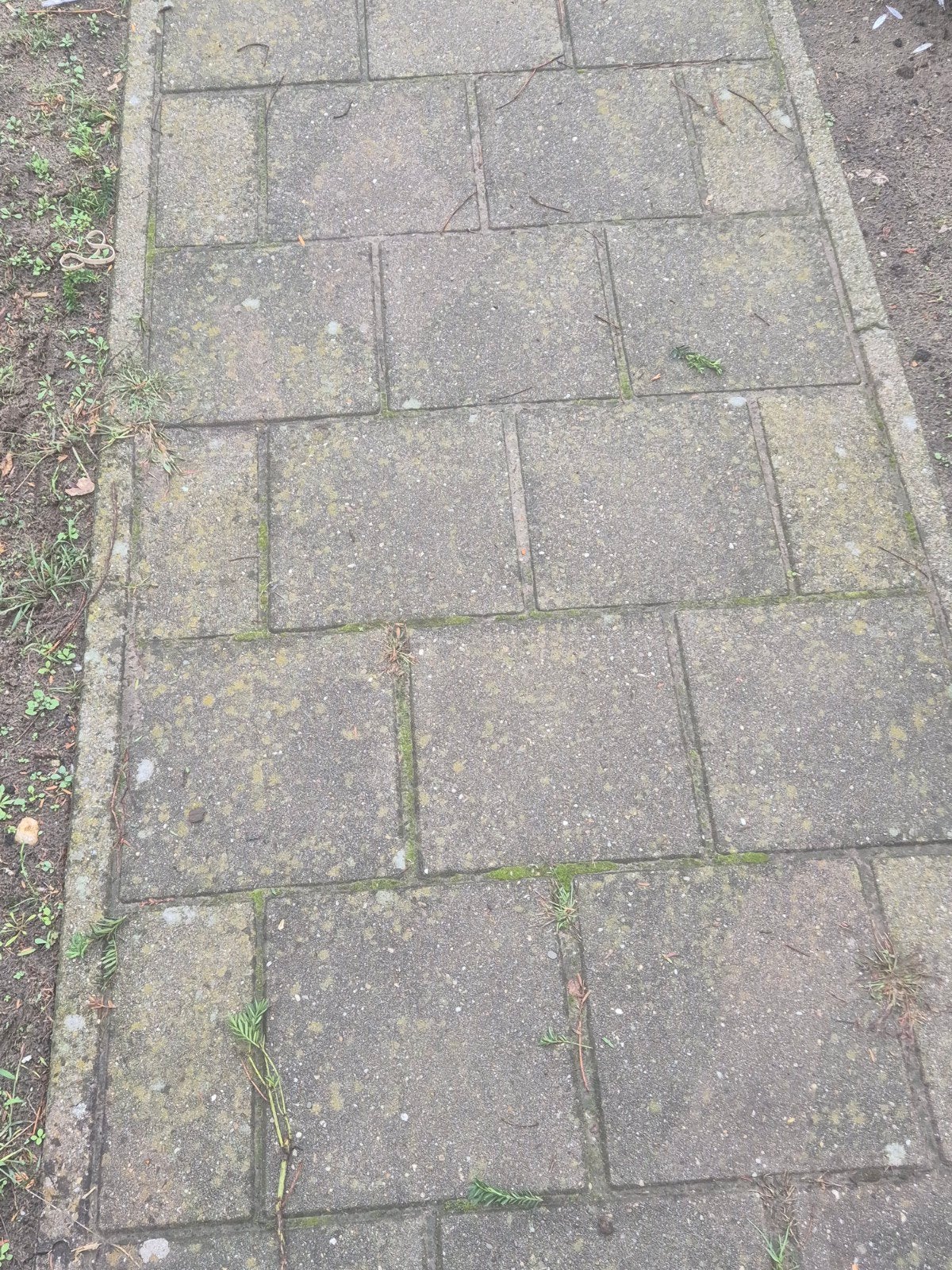 gratis betontegels voor terras of pad, Ophalen, Gebruikt, 5 tot 10 m², Beton