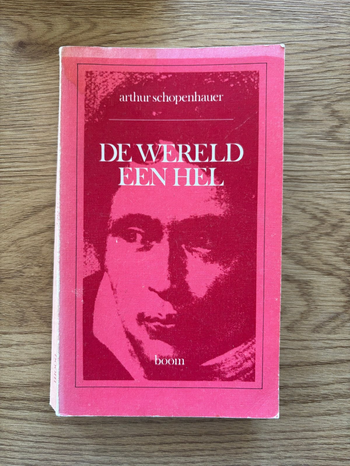 De Wereld Een Hel - Arthur Schopenhauer, Ophalen of Verzenden, Gelezen, Wijsbegeerte of Ethiek
