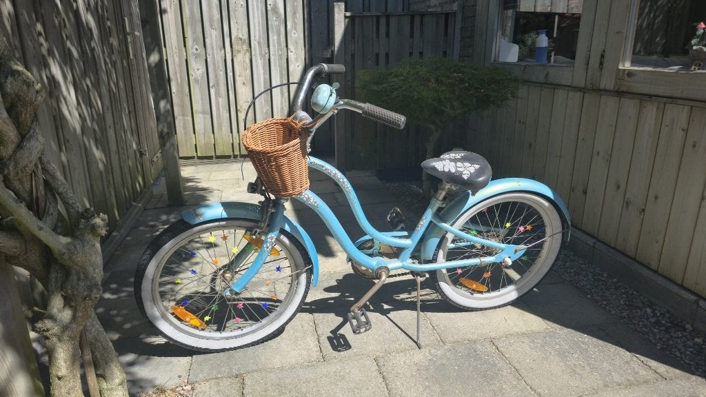 Blauwe cruiser (20 inch), Terugtraprem, Gebruikt, Staal, Cruiser