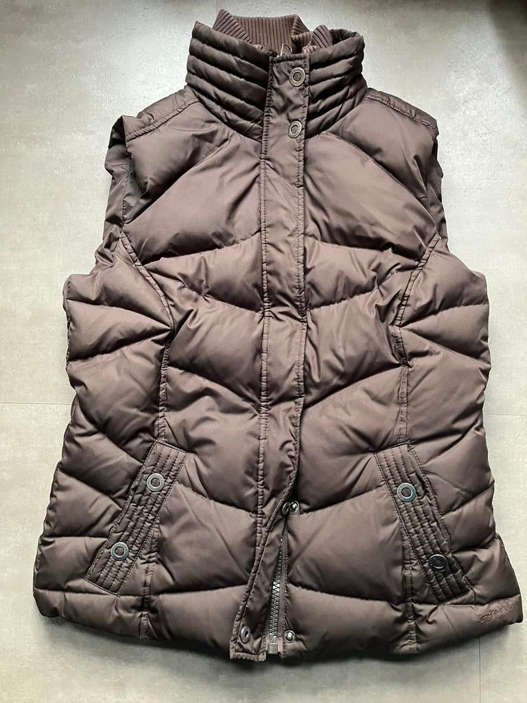Bodywarmer Esprit maat 38 Bruin, Ophalen of Verzenden, Gedragen, Maat 38/40 (M), Bruin