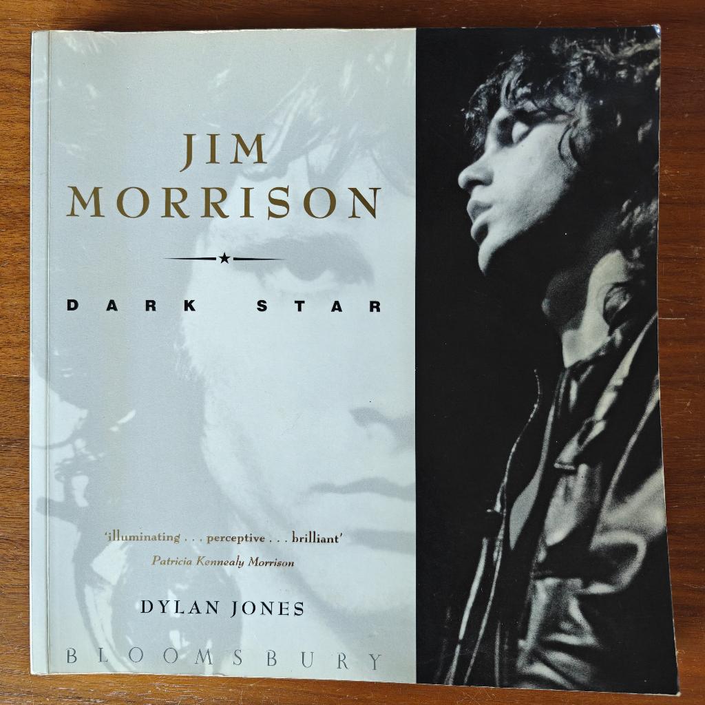 boek Jim Morrison - Dark Star - Dylan Jones, Ophalen of Verzenden, Artiest