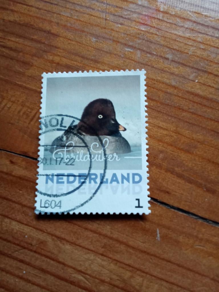 Brilduiker Gestempeld, Ophalen of Verzenden, Na 1940, Gestempeld