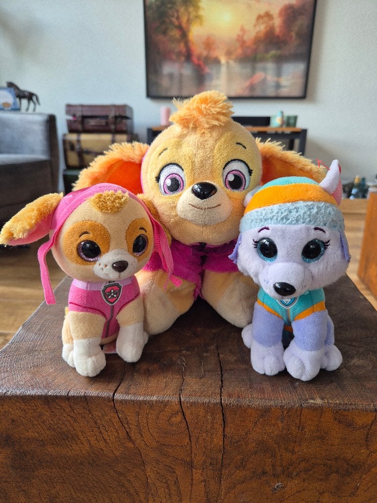 Knuffels paw patrol, Ophalen, Gebruikt, Hond, Wasbaar