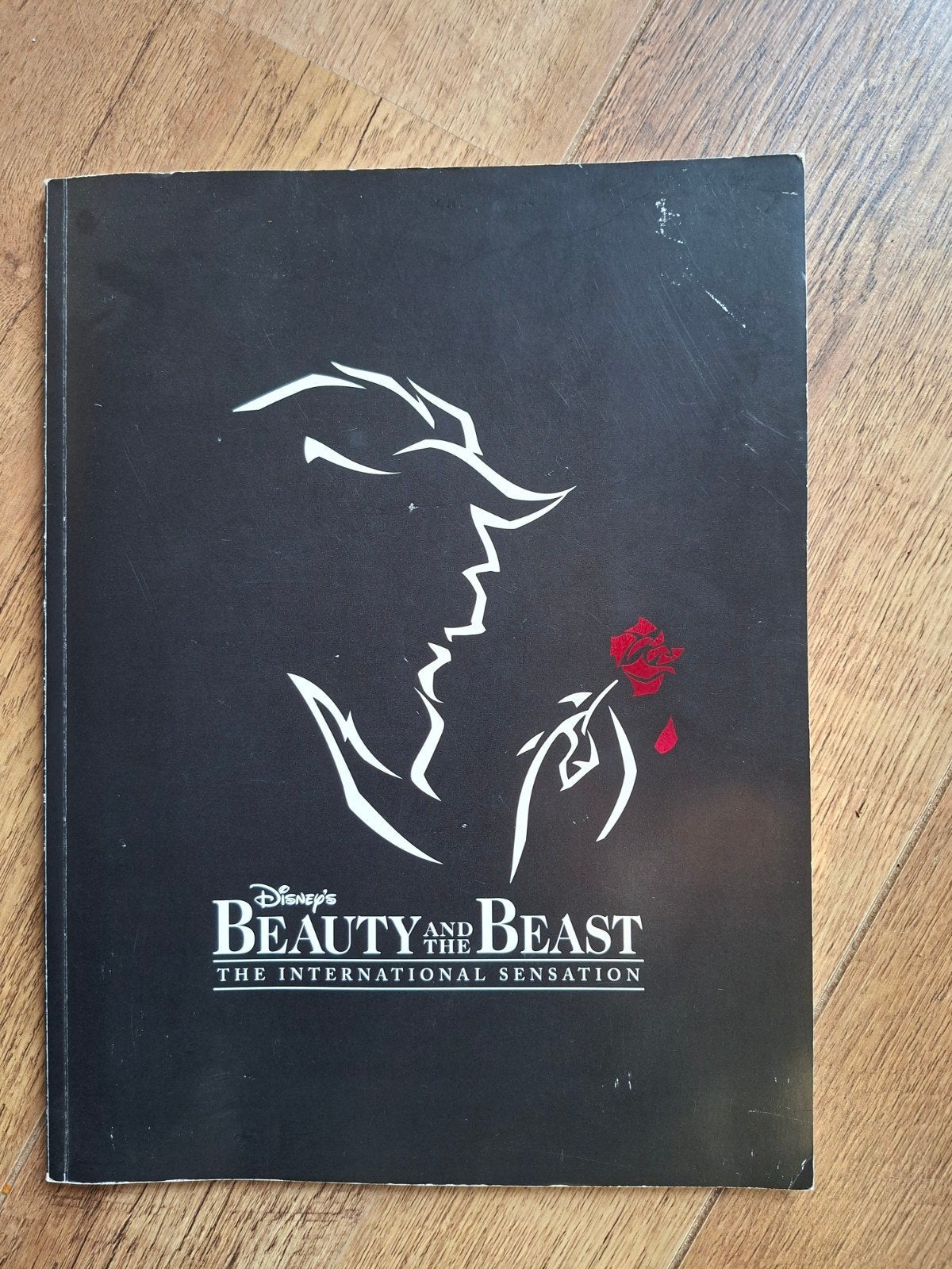 Disney Beauty and the Beast Broadway Souvenir Program 1996, Ophalen of Verzenden, Gelezen, Walt Disney Productions, Overige typen