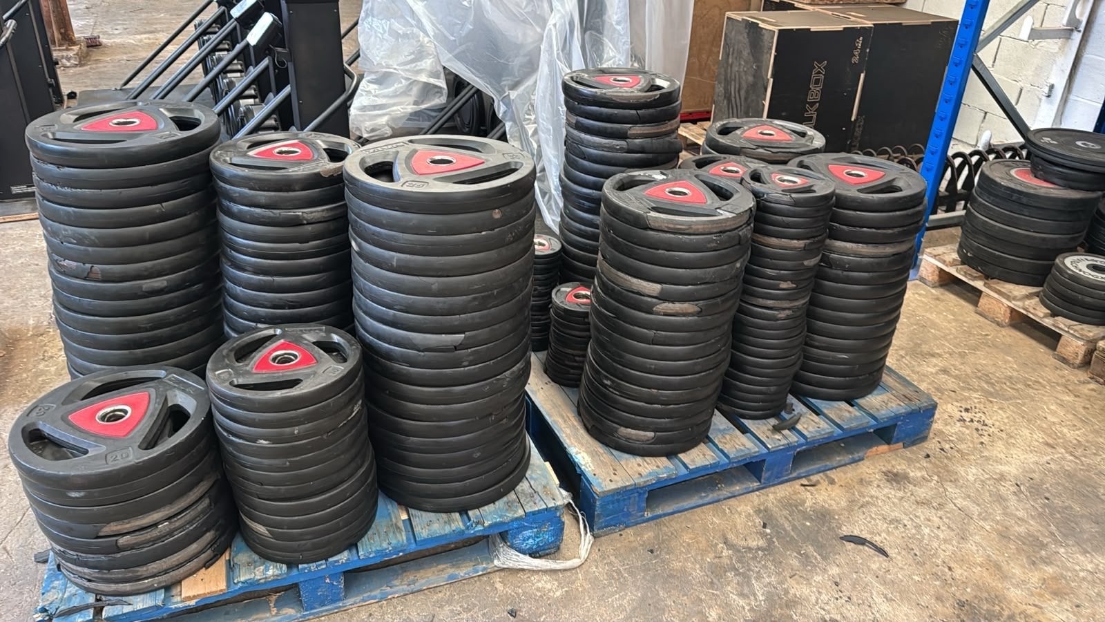 Ziva Halterschijven - Olympische Maat (50mm) - Per KG