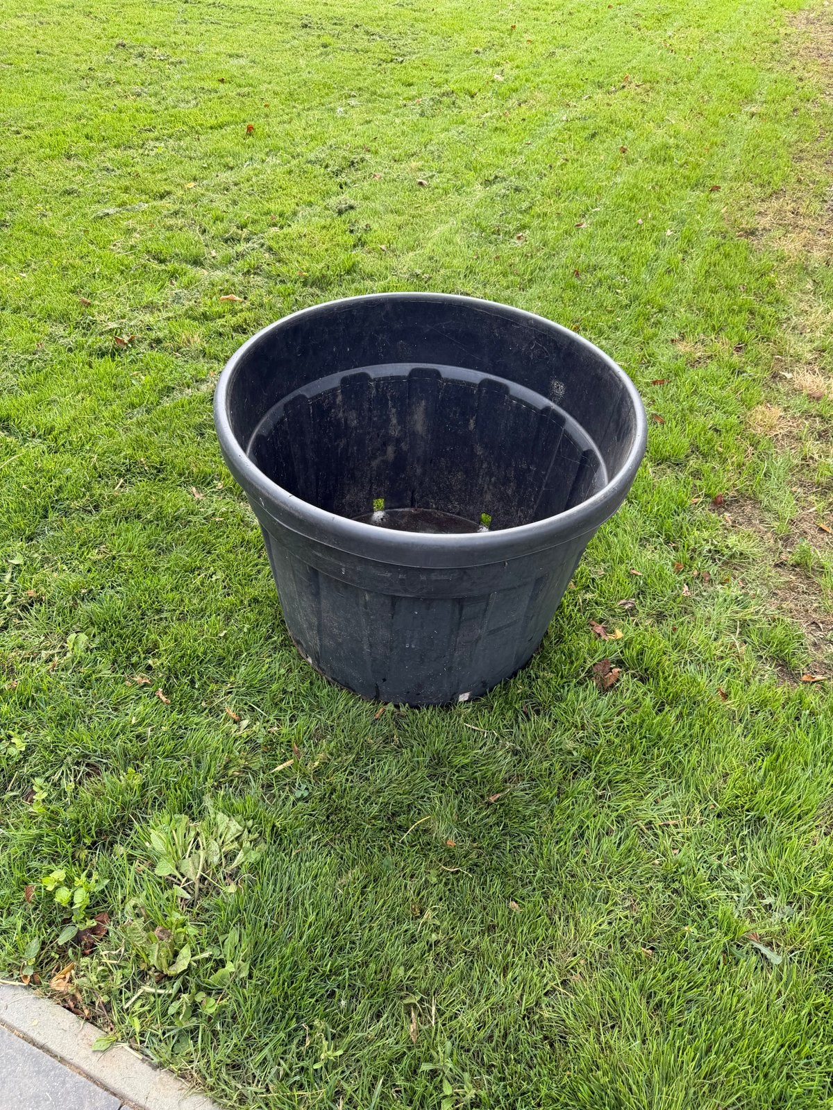 1 Grote Plantenbak/Plantenkuip - 130 Liter, Ophalen, Kunststof, Gebruikt, Balkon