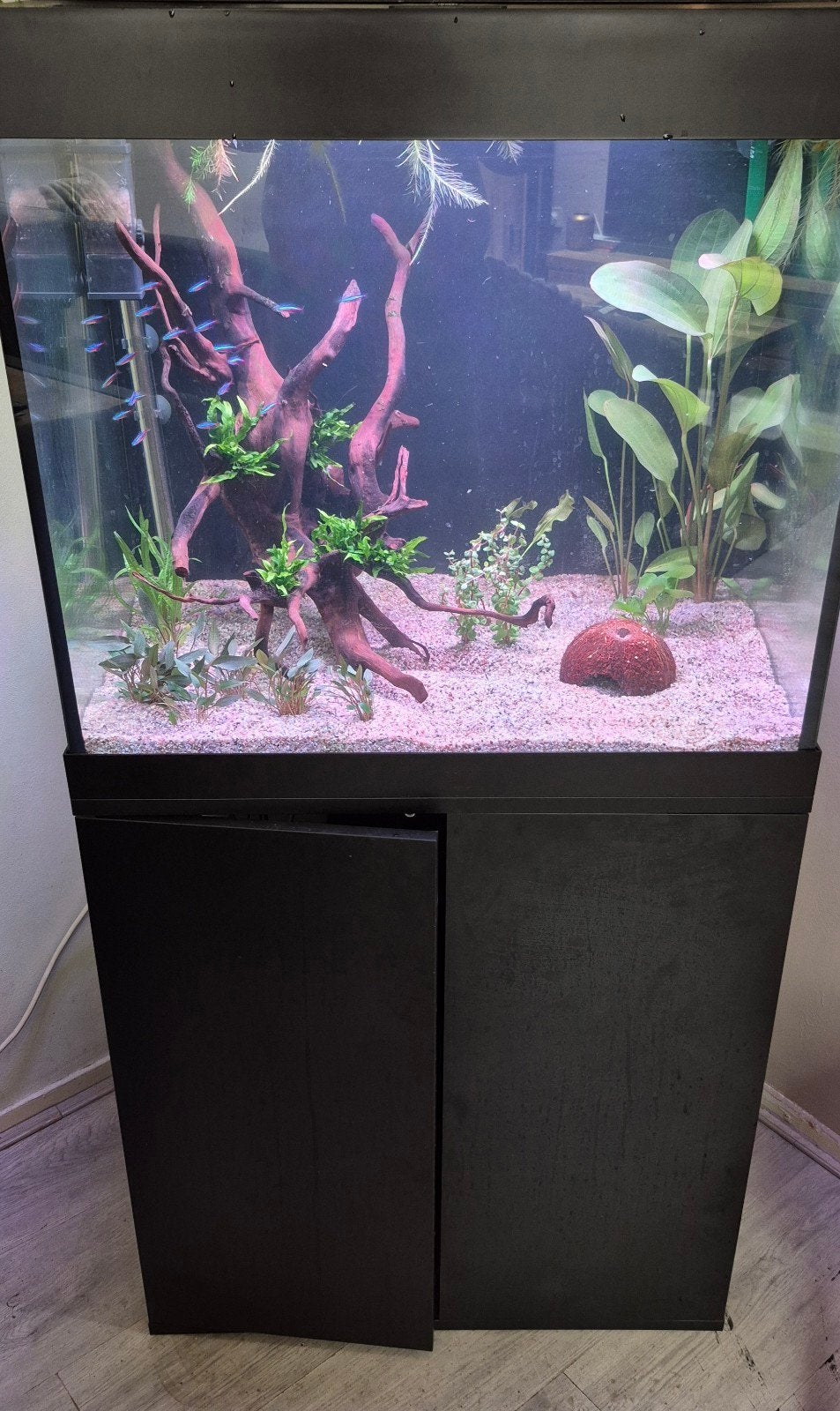 juwel lido 200, Dieren en Toebehoren, Ophalen, Zo goed als nieuw, Leeg aquarium