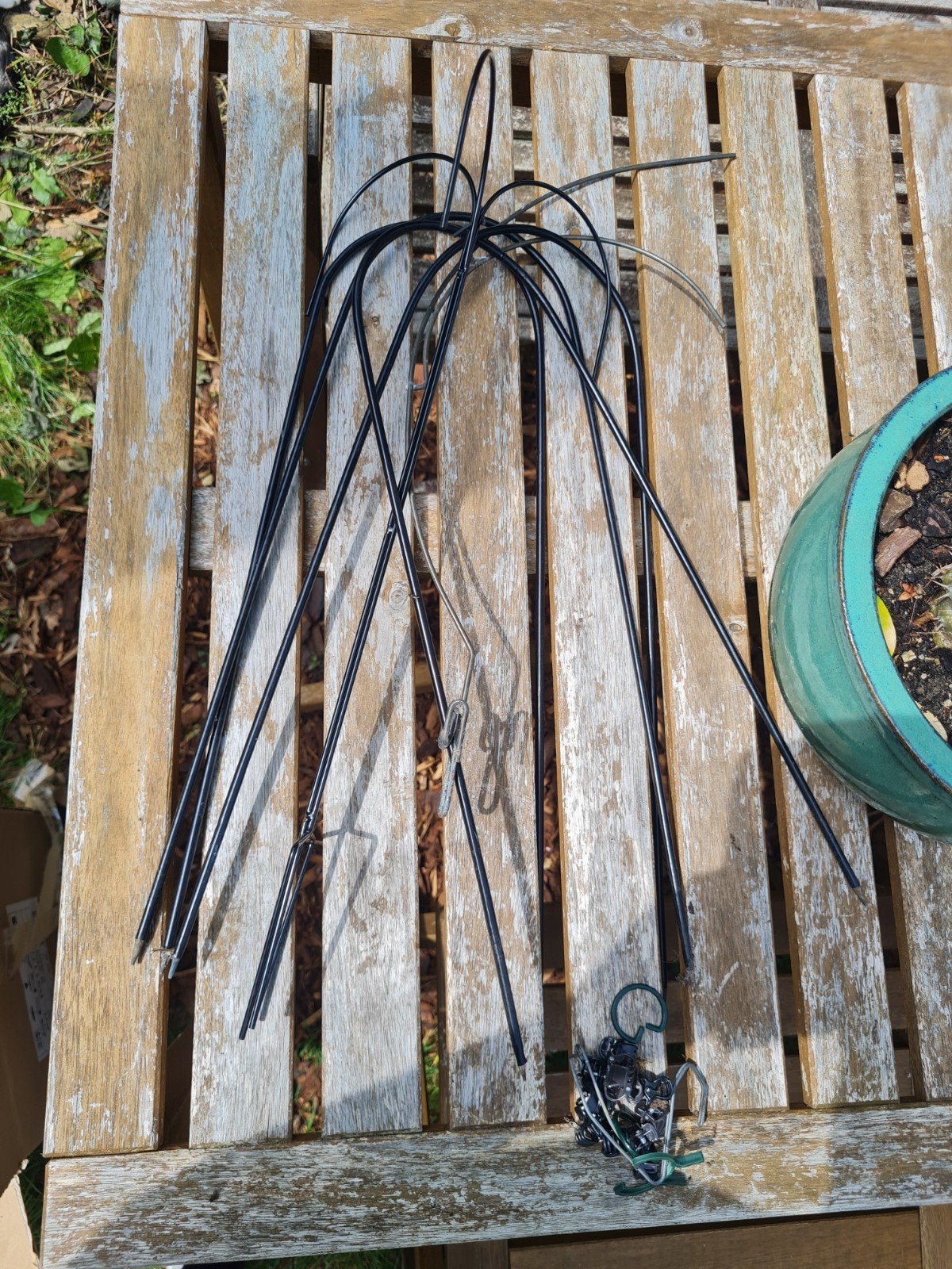 Gratis begeleiding / houders en klemmetjes voor orchideeën, Ophalen, Halfschaduw, Minder dan 100 cm