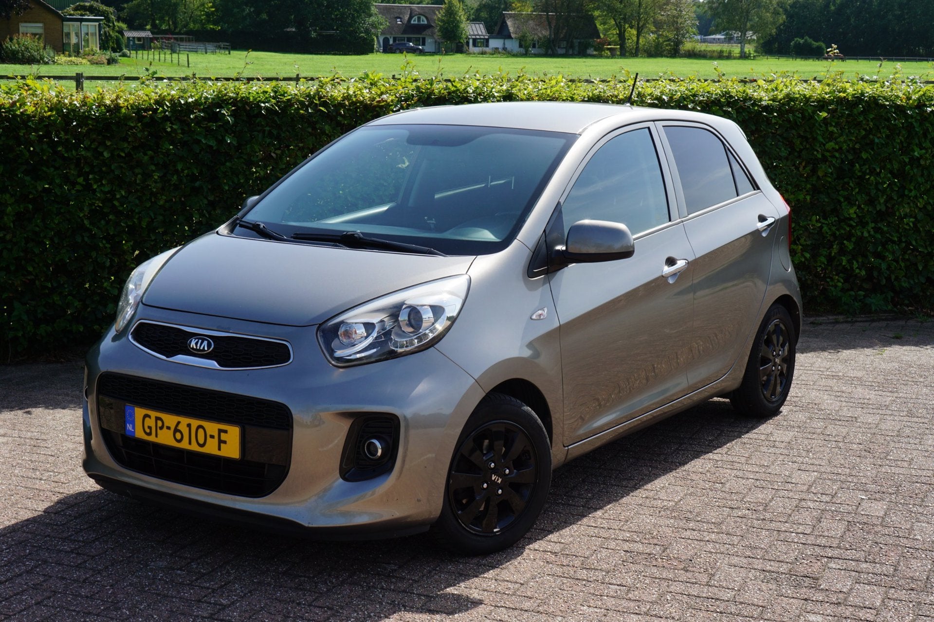 Kia Picanto 1.0 CVVT First Edition|Historie|Clima|Cruise|Led, Voorwielaandrijving, Stof, Gebruikt, Origineel Nederlands
