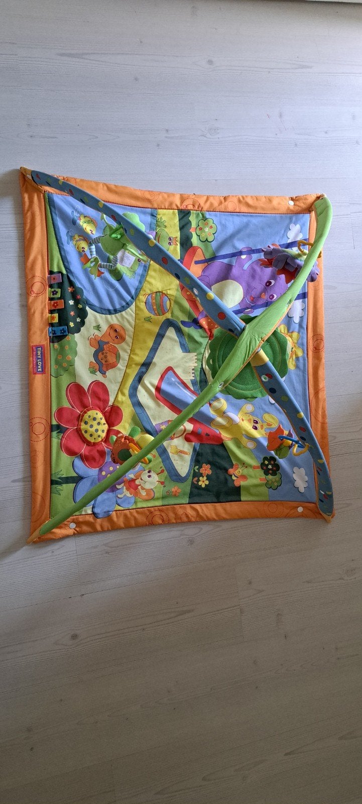 Tiny Love Gymini Sunny Day Speelkleed, Ophalen, Gebruikt, Speelkleed