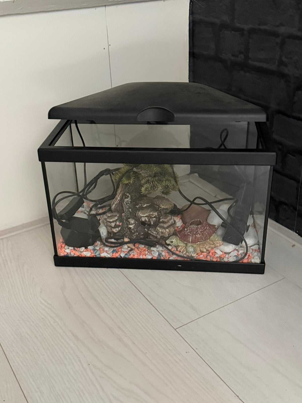 Aquarium, Ophalen, Zo goed als nieuw, Leeg aquarium