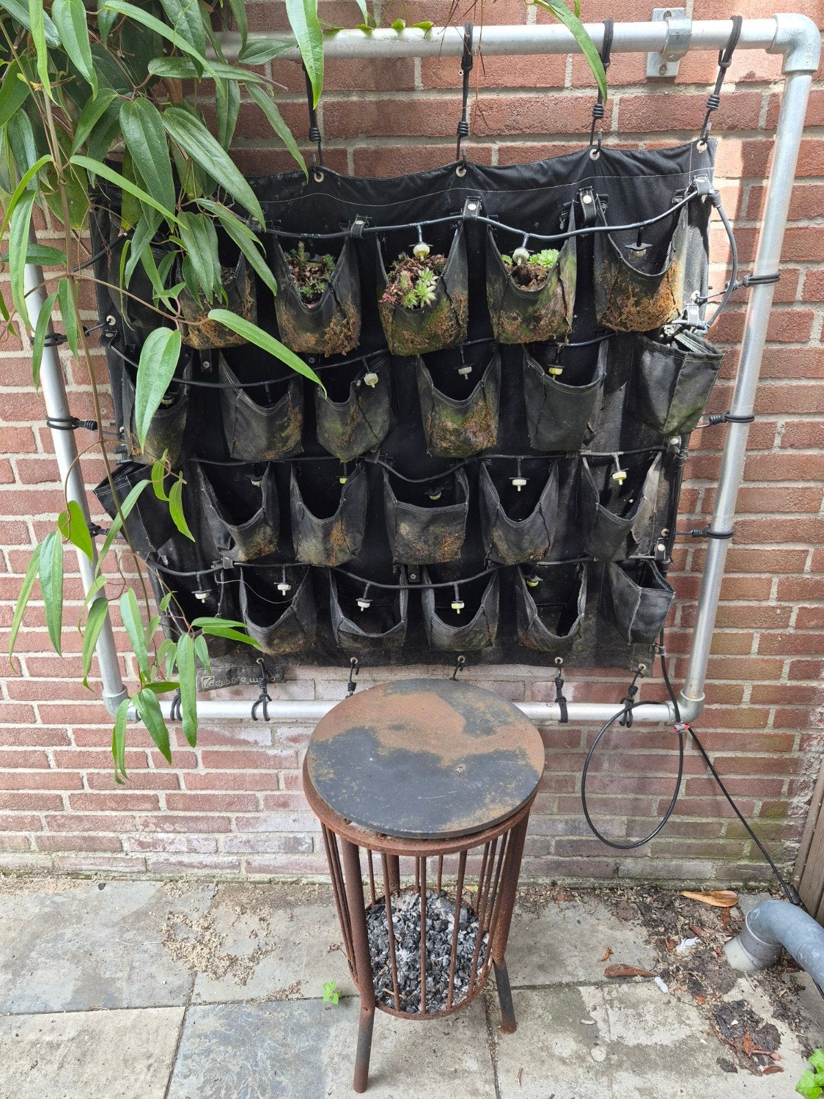 Verticale tuin 1m x 1m, Ophalen, Hout