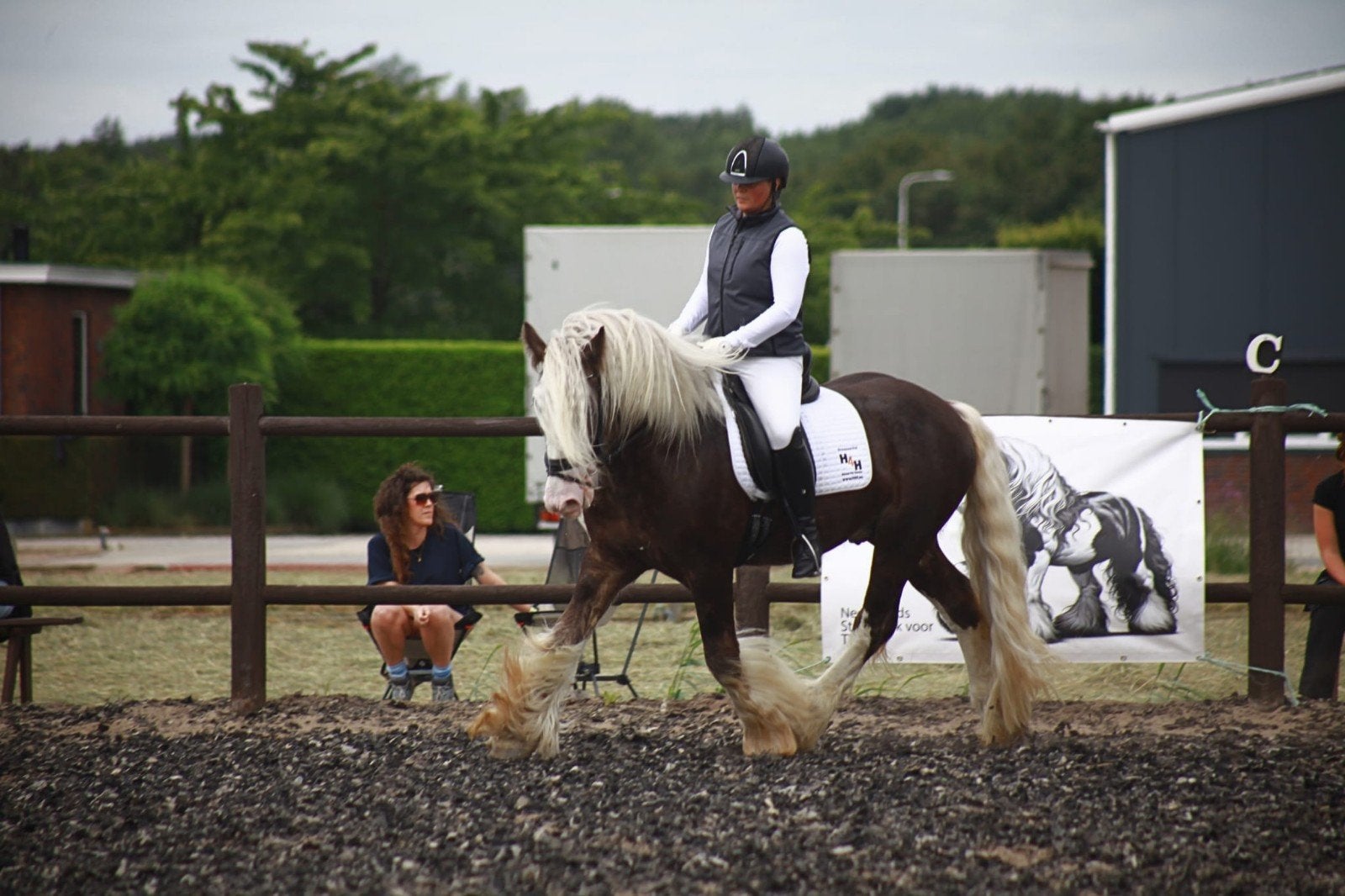 4 jarige hengst te koop of ter dekking, Dieren en Toebehoren, Gechipt, Minder dan 160 cm, Dressuurpaard, Hengst