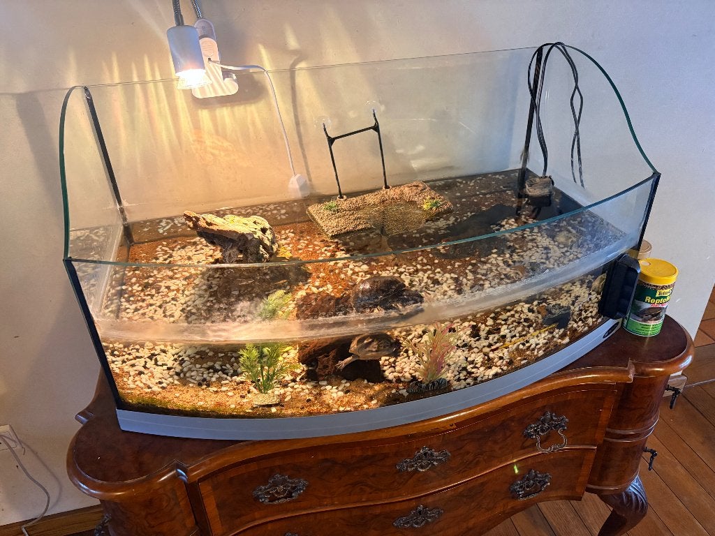 Waterschildpadjes met aquarium, Ophalen, Leeg aquarium