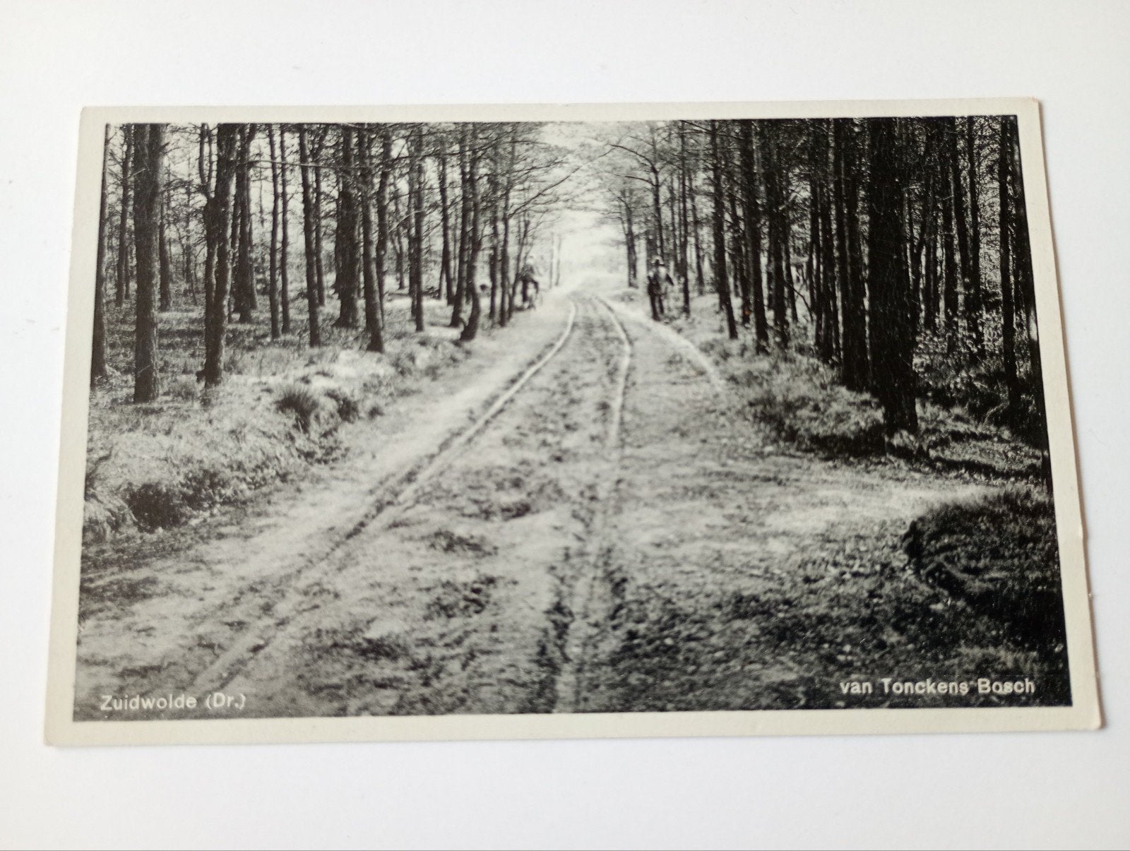 Zuidwolde Van Tonckens Bosch, Ophalen of Verzenden, 1920 tot 1940, Ongelopen, Drenthe