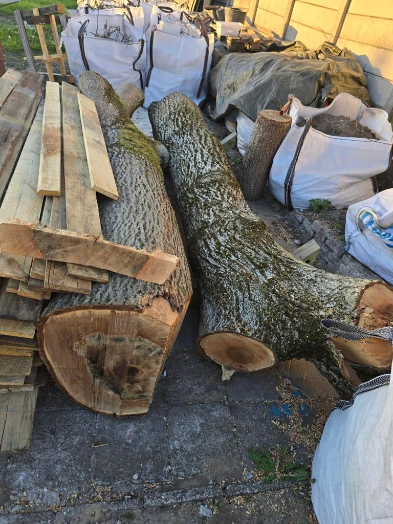 Zwarte walnoot boomstammen 340cm 85a 90 cm doornsee, Doe-het-zelf en Verbouw, Hout en Planken, Ophalen, Overige typen, Nieuw, 300 cm of meer