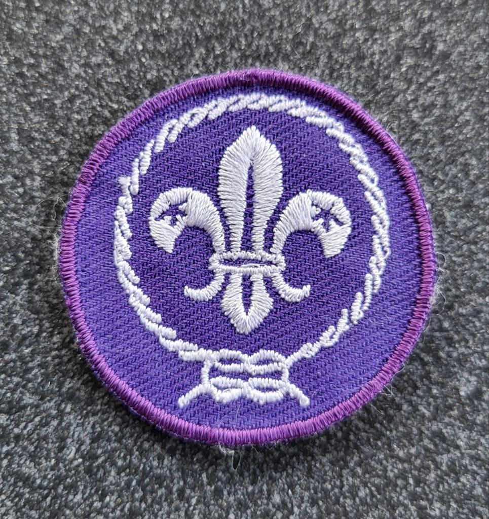 Scouting Insigne Badge WOSM, Verzamelen, Scouting, Ophalen of Verzenden, Zo goed als nieuw, Embleem, Speld of Insigne